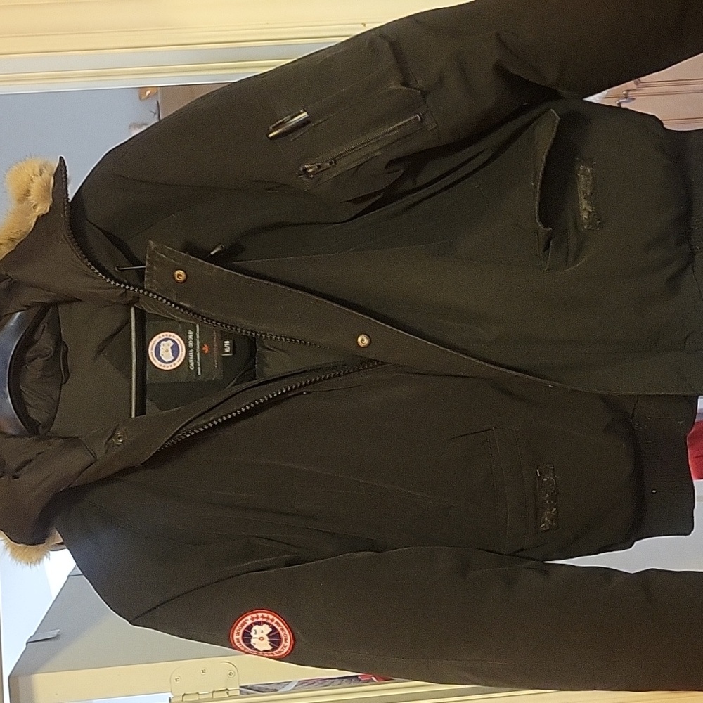 Canada goose